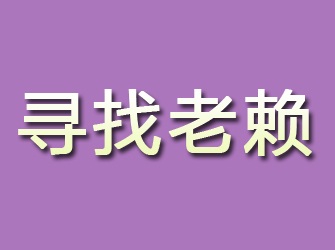 金凤寻找老赖